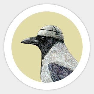 Hooded crow Sticker